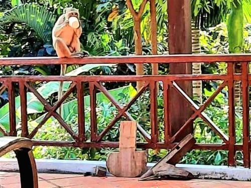 Balkón nebo terasa v ubytování Jungle House Kep