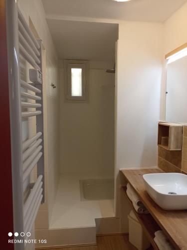 une salle de bain avec un lavabo, une douche et un miroir dans l'établissement Le gîte des Palmiers, à Hyères