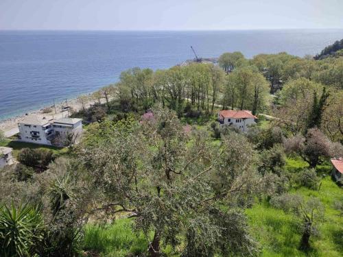 a house on a hill next to the ocean at Marabou Hotel Chorefto in Chorefto