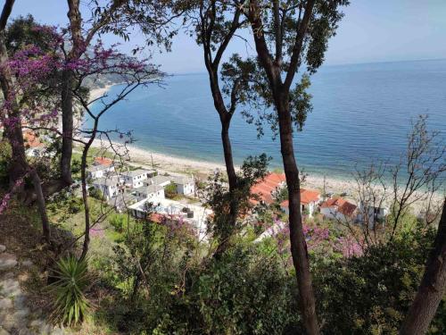 vistas a una playa con casas y al océano en Marabou Hotel Chorefto en Chorefto