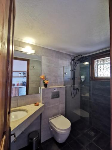 a bathroom with a toilet and a sink and a shower at Terracotta Boutique Beach Studios in Mythimna