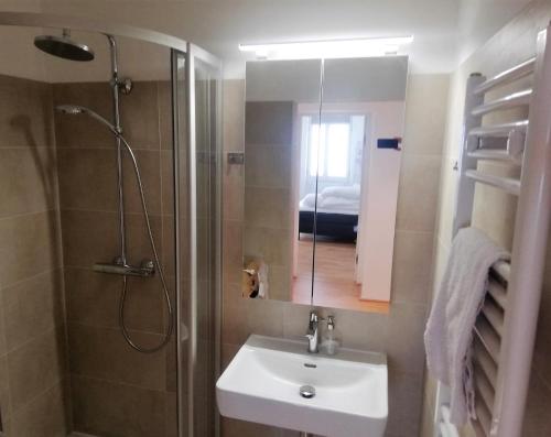 y baño con ducha, lavamanos y ducha. en Casa Nostra - Moderne lichtdurchflutete Wohnung am Augarten, en Viena