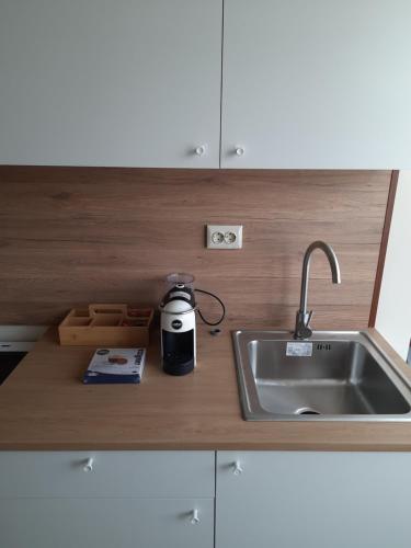 a kitchen counter with a sink and a appliance at Sandanski city center apartment in Sandanski