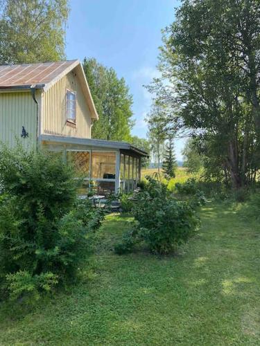 a house in a yard with trees and bushes at Hus nära Hallstaberget in Sollefteå