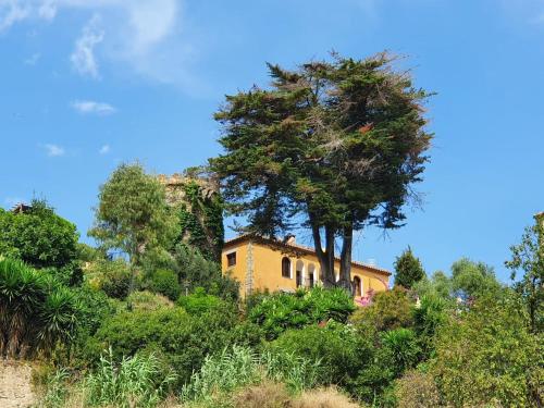Φυσικό τοπίο κοντά σε αυτή η βίλα