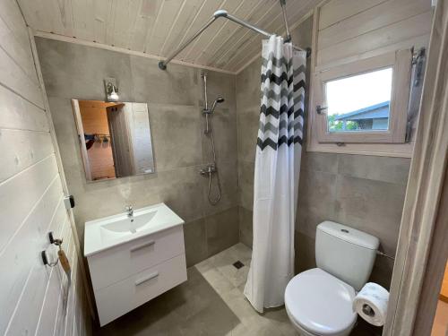 y baño con aseo, lavabo y ducha. en Domki Letniskowe na Dzikiej en Tolkmicko