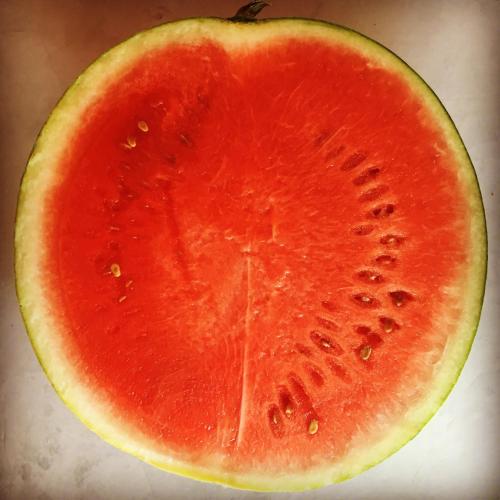 Billede fra billedgalleriet på Finca Oliva i Bolulla