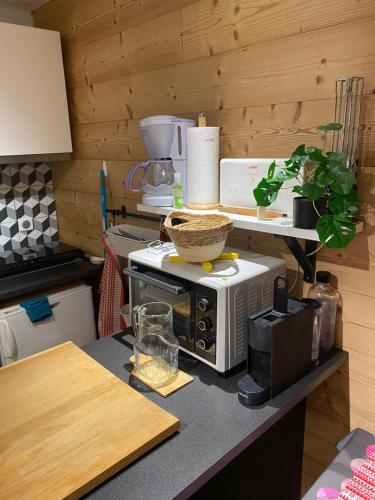 a kitchen with a counter with a toaster and a microwave at Studio Confortable style Chalet, Saint Lary Soulan centre village, 6 nuits minimum in Saint-Lary-Soulan