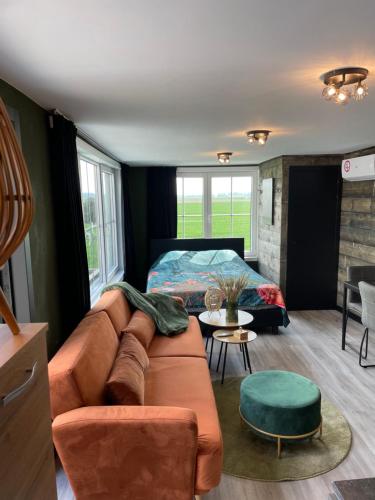 a living room with a couch and a bed at Tiny House in Westdorpe