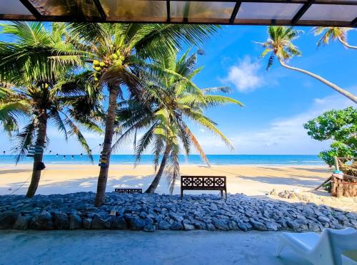 a beach with two palm trees and a bench at Saphli Villa in Chumphon