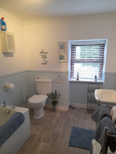 a bathroom with a toilet and a sink and a window at The Annexe Cottage at Newhouse Farm in Lanark