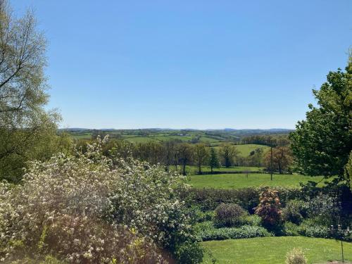 a view of a garden with trees and bushes at East Hillerton House in Crediton