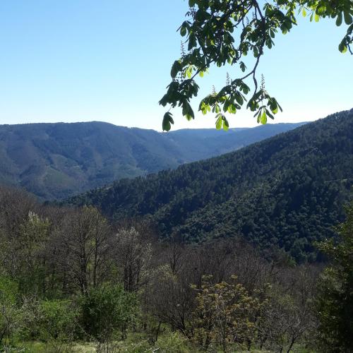 Auberge du Thélème – Photos 5