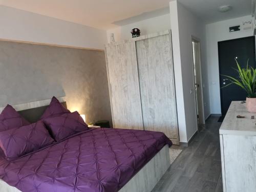 een slaapkamer met paarse kussens en een paars bed bij Garsoniera in Năvodari