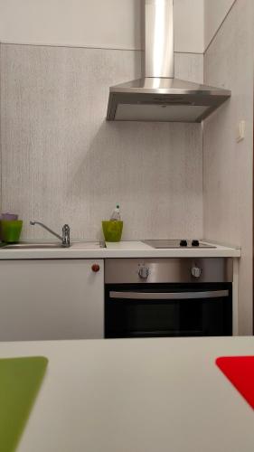 a kitchen with a sink and a stove at Guest House Zajec in Kuzminec