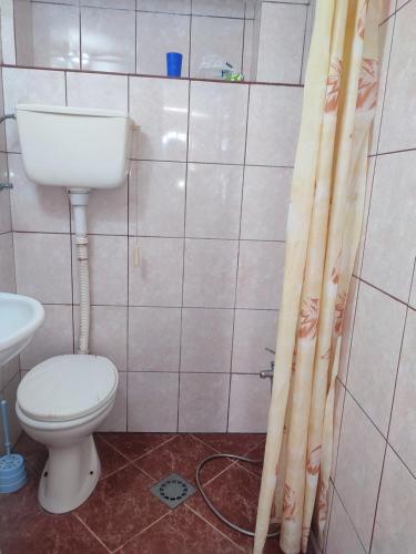 a bathroom with a toilet and a shower curtain at Apartments Sošić in Sutomore