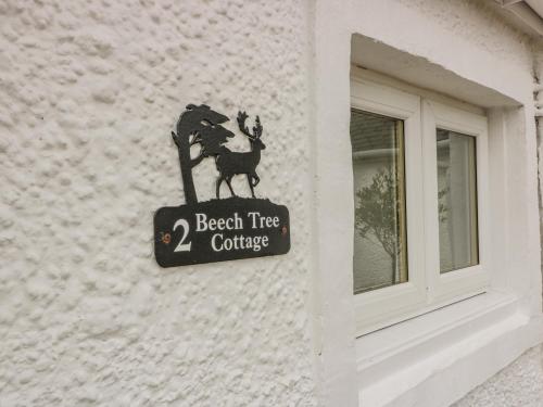 Beech Tree – Photos 3