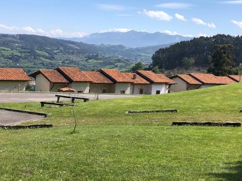 a group of houses with a field of green grass at Apartamentos Monterodiles in Liñero