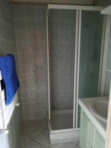 une salle de bain avec douche et lavabo dans l'établissement Les jardins du Luxembourg, à Hyères