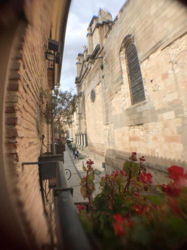 a view of an alley with flowers in front of a building at Hospederia Casa de Cisneros in Toledo