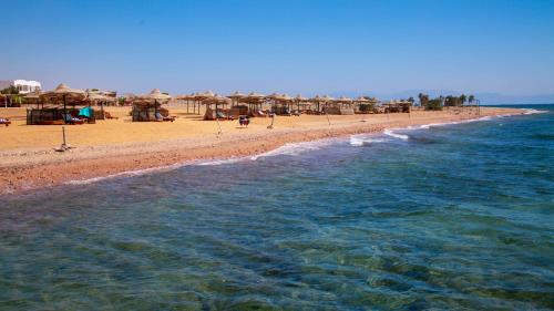 a beach with a group of umbrellas and the ocean at Happy Life Village Dahab in Dahab