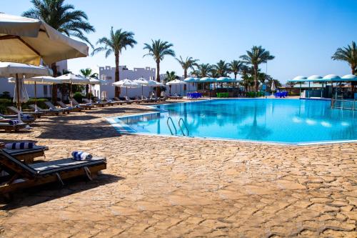a swimming pool with chairs and umbrellas at a resort at Happy Life Village Dahab in Dahab