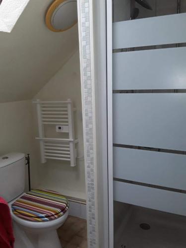 - une salle de bains mansardée avec toilettes dans l'établissement Ker Jerome - Traditional Stone Breton Cottage near to Dinan, à Trélivan