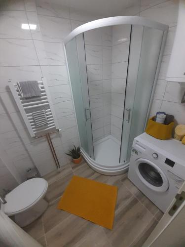 ein Bad mit einer Dusche und einer Waschmaschine in der Unterkunft GRAND BB Apartman in Bajina Bašta