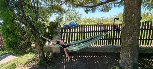 a woman laying in a hammock in a yard at Vinogradski konak Belgrade, Sopot,Kosmaj in Sopot