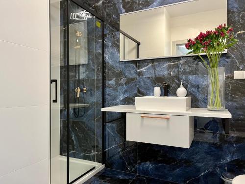 La salle de bains est pourvue d'un lavabo et d'une douche. dans l'établissement Apartament Charlotte Link, à Jelenia Góra