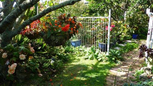 a garden with colorful flowers and a fence at Ashcroft Gardens Bed & Breakfast in Napier