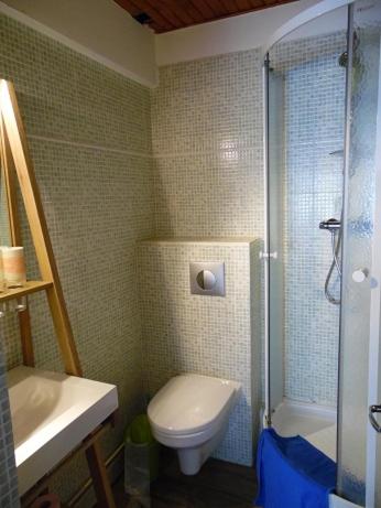 une salle de bain avec toilettes, douche et lavabo dans l'établissement LES GITES D'AVEZE, à Avèze