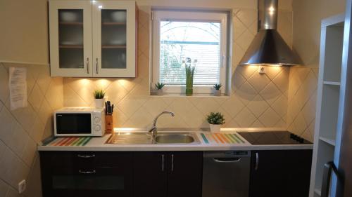 Kuchyňa alebo kuchynka v ubytovaní Apartments Komel II