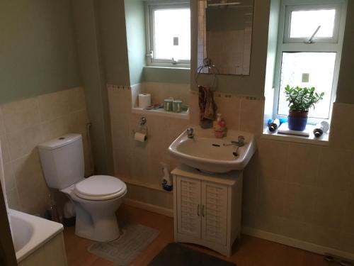 a bathroom with a toilet and a sink at Apartment with shared garden and basic equipments in Plymouth