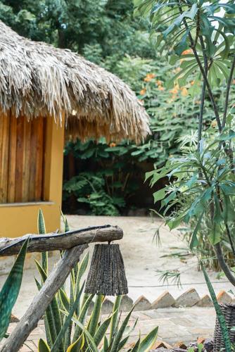 Taman di luar Pousada Rota dos Ventos