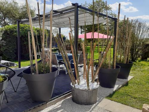 a group of potted plants in pots on a patio at La Bergerie à Palleau, Les Blés Dorés et Les Graines de Lin à Corgengoux, proches de Beaune et de ses villages viticoles in Palleau