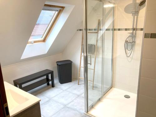 a bathroom with a shower and a sink at Appartement spacieux avec terrasse et jardin à Lohr, 120 m². in Lohr