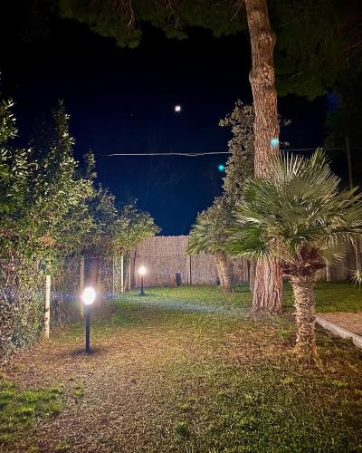 a yard at night with a tree and lights at Il Tombolo in Giannella