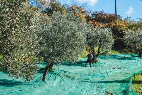 Φυσικό τοπίο κοντά σε αυτό το ξενοδοχείο