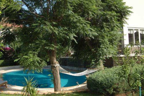 a hammock under a tree next to a pool at Villa Sophia Marmaris in Marmaris