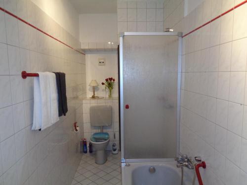 ein Badezimmer mit Dusche und Toilette in der Unterkunft Ferienwohnung Altes Pfarrhaus mit Flair und Moselblick in Brauneberg