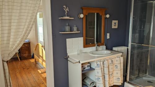 een badkamer met een wastafel en een spiegel bij Rêve Bleu in Duinkerke
