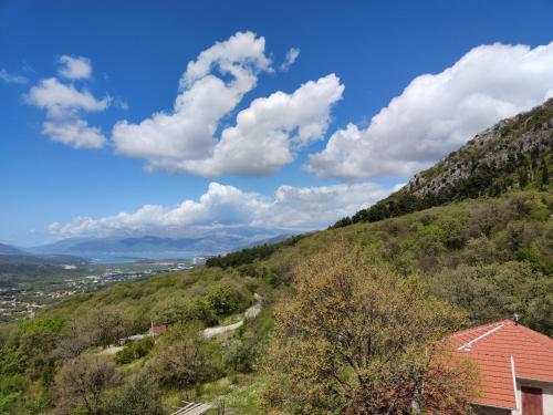 Gallery image of Forest Apartments in Kotor