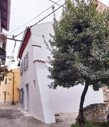 a white building with a tree next to it at Casa Gray in Koper
