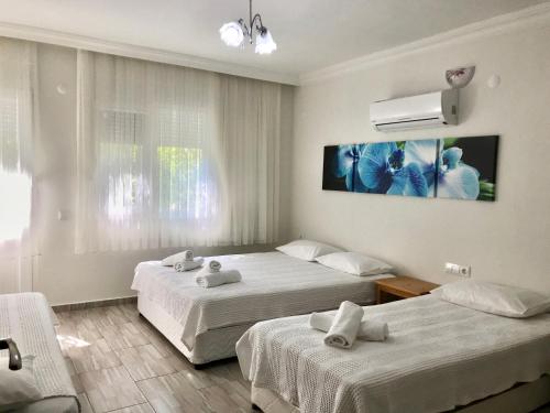 Gallery image of Olive Garden Olympos in Kumluca