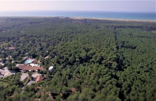 Green Resort — Sea view