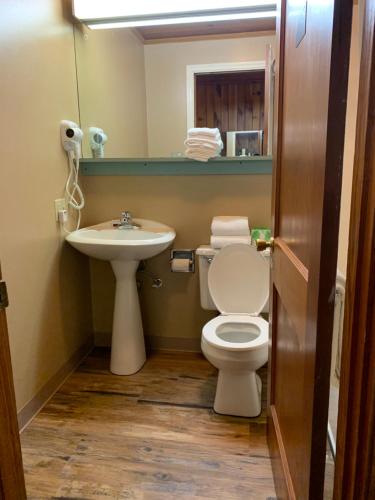 a bathroom with a toilet and a sink at Carr's Northside Hotel and Cottages in Gatlinburg