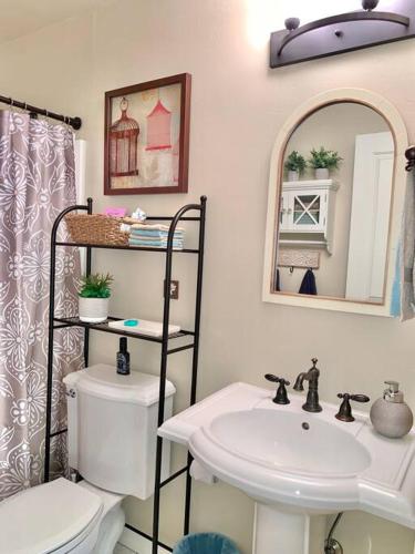 a bathroom with a sink and a toilet and a mirror at The Comforts' Inn: Mountain Escape in Mountainaire