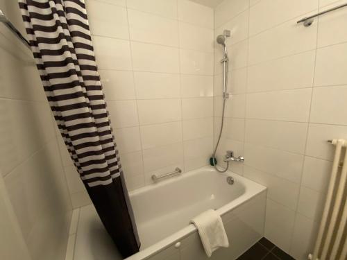 a bathroom with a bath tub with a shower at Galaxy Apartments Lucerne in Luzern