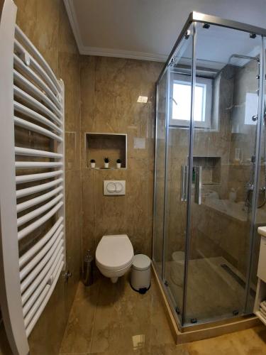 a bathroom with a toilet and a glass shower at Apartments "4You" in Tivat
